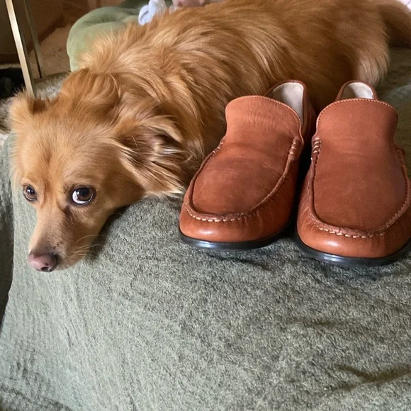 Cresswell Venetian Johnston & Murphy Sheepskin Loafers Men’s Size 10 - Picture 2 of 6